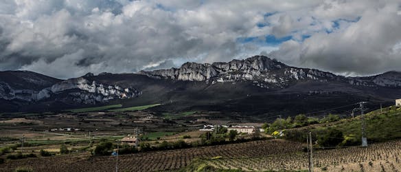 Winery visit in La Rioja with tasting and lunch from Vitoria